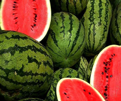 watermelon